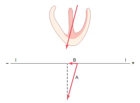 Xác định vector