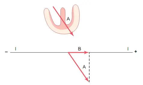 Xác định vector