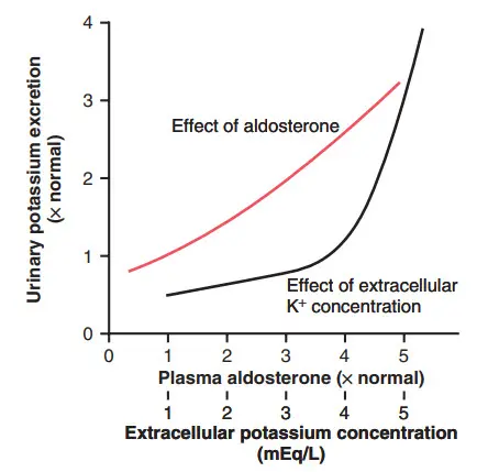 Ảnh hưởng của nồng độ aldosteron huyết tương