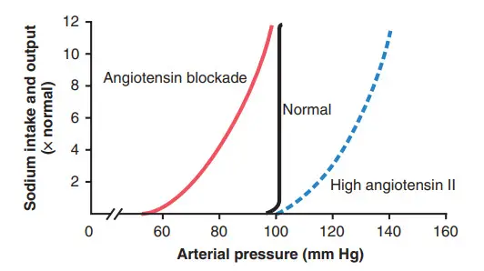 Ảnh hưởng của việc hình thành quá nhiều angiotensin II