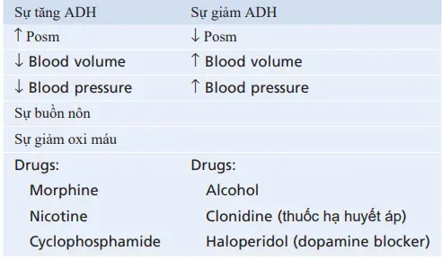 Kiểm soát sự bài tiết ADH