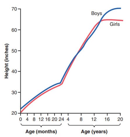 Chiều cao trung bình của bé trai và bé gái đến 20 tuổi