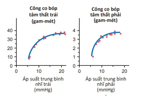 Các đường cong chức năng hoạt động của tâm thất trái và phải