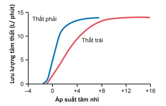 Đường cong thể tích tâm thất phải và trái