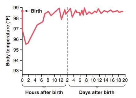 Giảm nhiệt độ cơ thể của trẻ sơ sinh