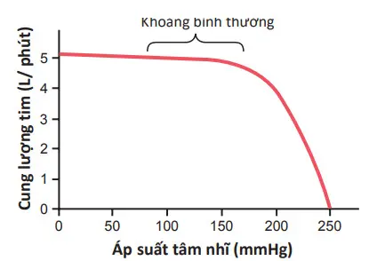 Hằng số cung lượng tim lên tới mức áp suất