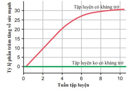 Hiệu suất xấp xỉ của tập luyện có kháng trở lên việc tăng sức mạnh cơ trong 10 tuần