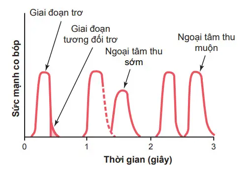 Lực co bóp cơ tâm thất