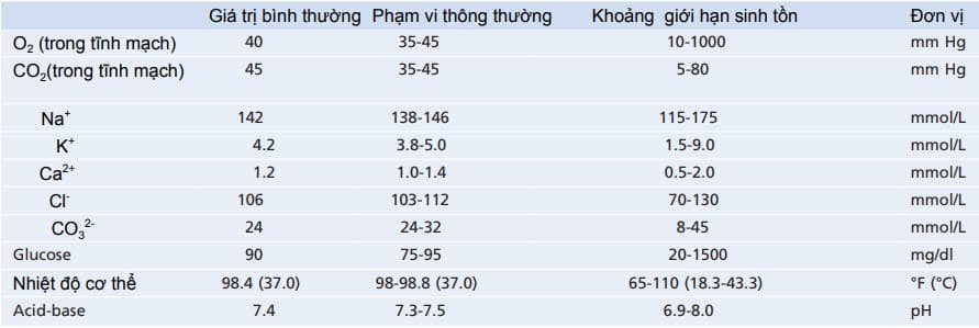 Những thành phần quan trọng và các đặc trưng vật lý của dịch ngoại bào