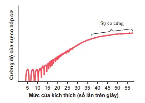 Tần số tổng và sự co cứng