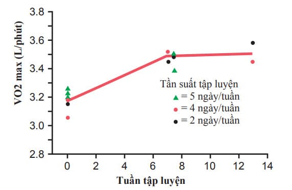 Tăng VO2max trong thời gian từ 7 đến 13 tuần tập luyện thể thao