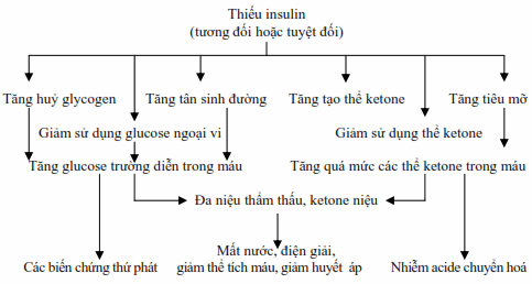 Cơ chế sinh lý bệnh của các triệu chứng trong đái đường.