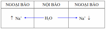 Di chuyển của nước theo nồng độ ion Natri