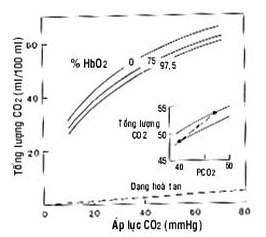 Đồ thị thể hiện mối tương quan giữa PCO2 và tổng lượng CO2 trong máu