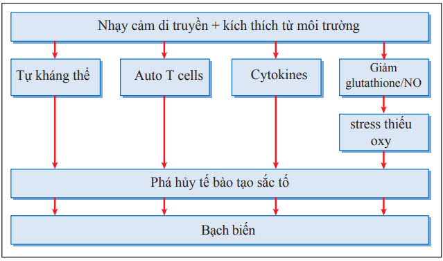 Cơ chế của Bạch biến