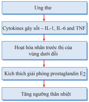 Sốt do ung thư