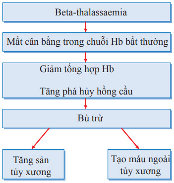 Tạo máu ngoài tủy xương