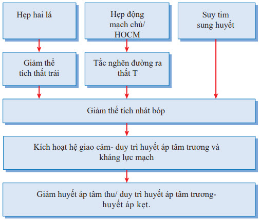 Cơ chế gây huyết áp kẹt