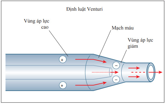 Giản đồ minh họa định luật Venturi