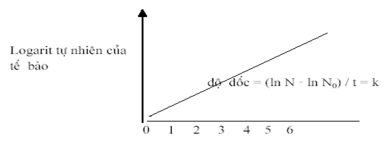 Tốc độ ở đó logarit tự nhiên của số tế bào tăng lên với thời gian.
